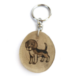 Beagle - de la Imatge a 2