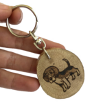 Beagle - de la Imatge a 3